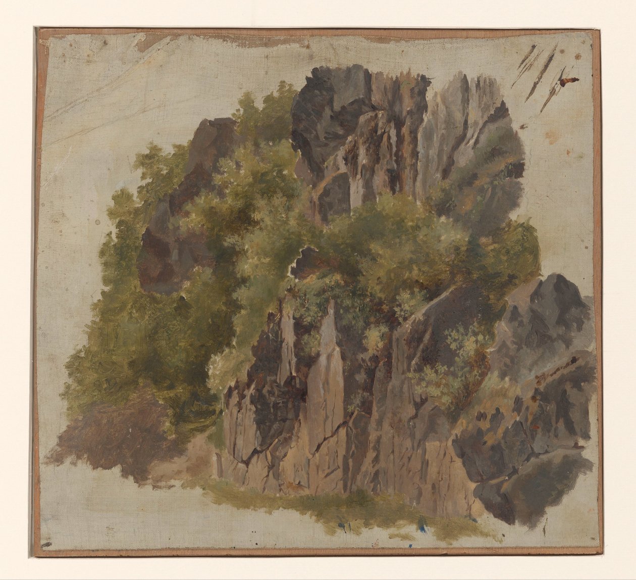 Rochers et végétation - Johannes Tavenraat