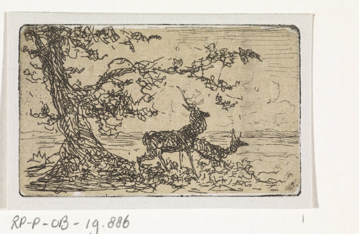 Deux cerfs sous un arbre - Johannes Tavenraat