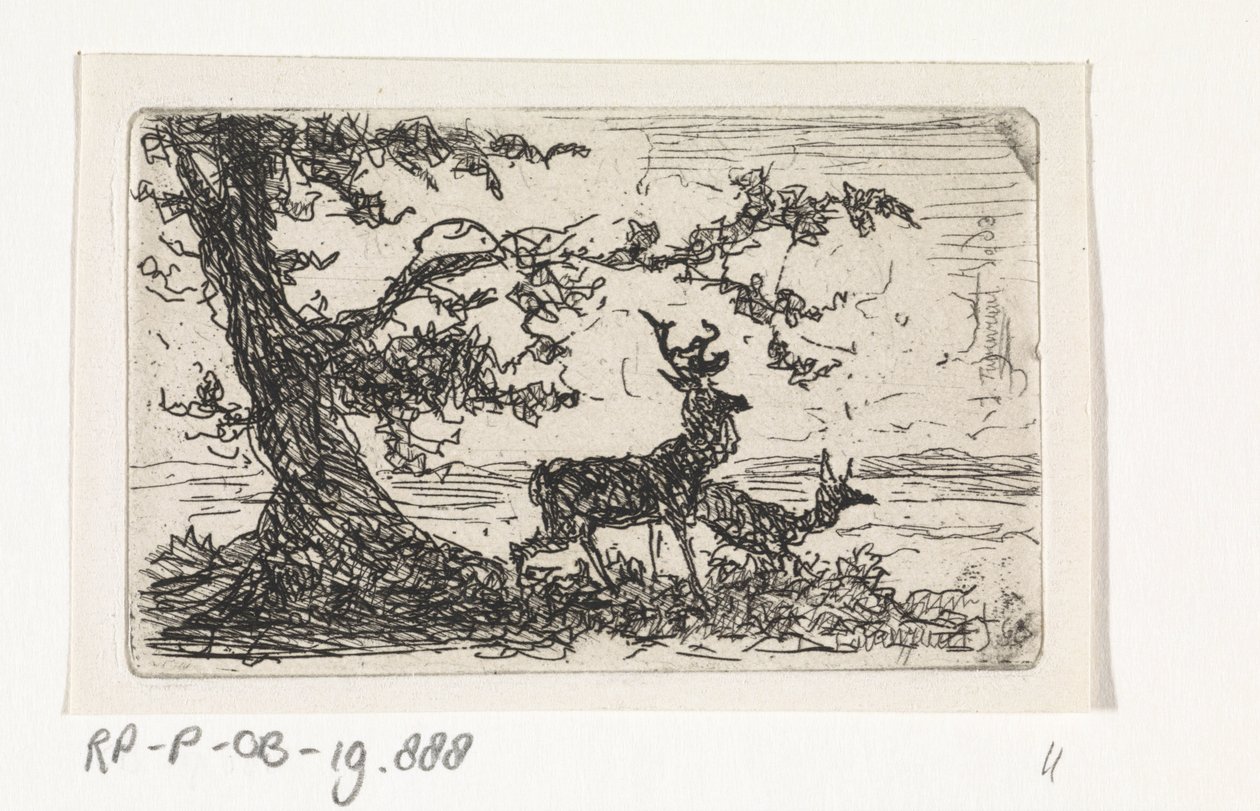 Deux cerfs sous un arbre - Johannes Tavenraat