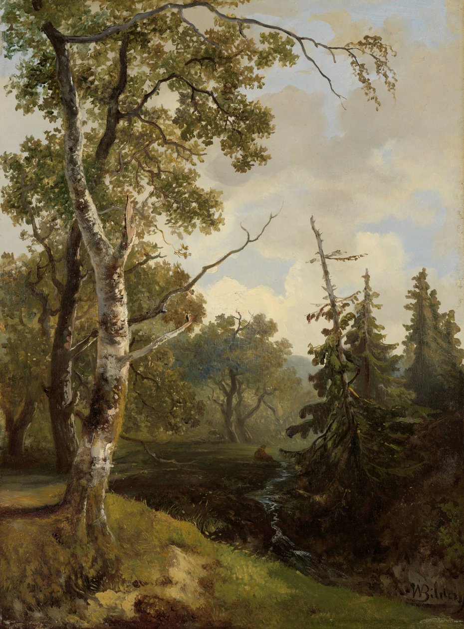 Paysage forestier près de Wolfheze - Johannes Warnardus Bilders