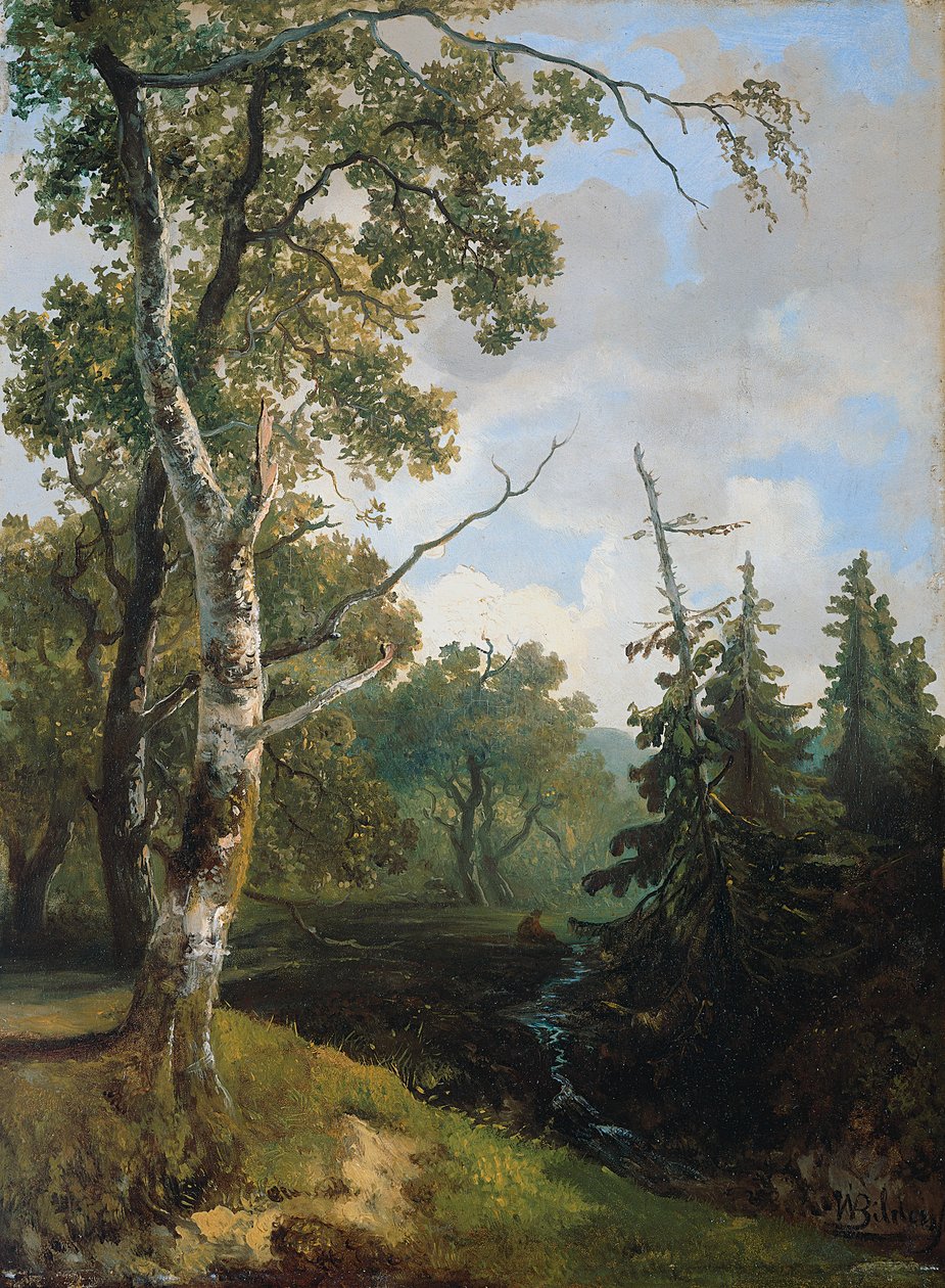 Vue de la forêt près de Wolfheze. - Johannes Warnardus Bilders