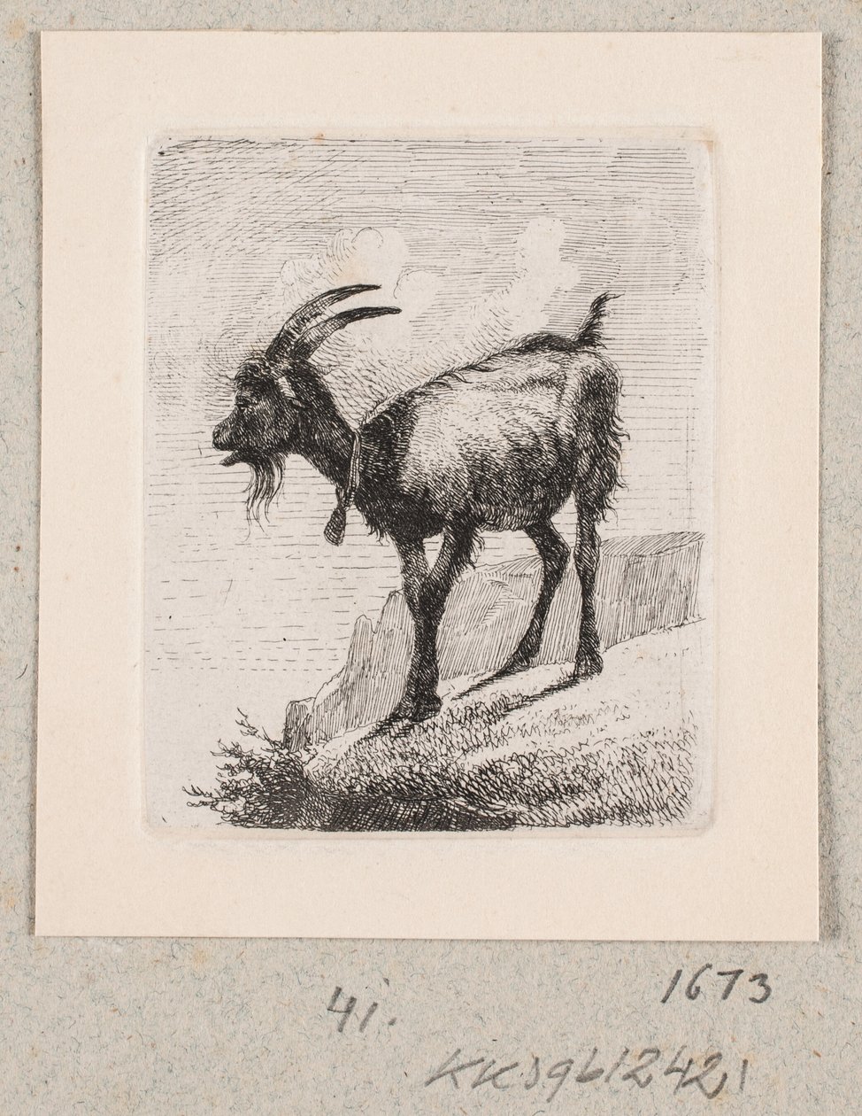 Une chèvre avec une cloche - Johannes Wilhelm Zillen