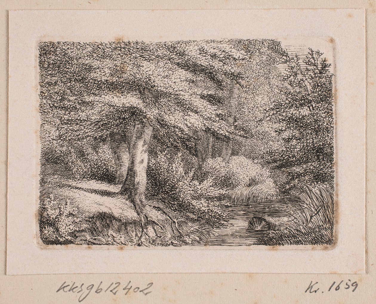 Paysage forestier - Johannes Wilhelm Zillen