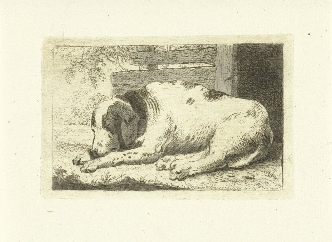 Chien endormi - Johannes van Cuylenburgh