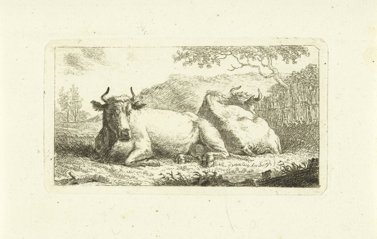 Deux vaches couchées - Johannes van Cuylenburgh