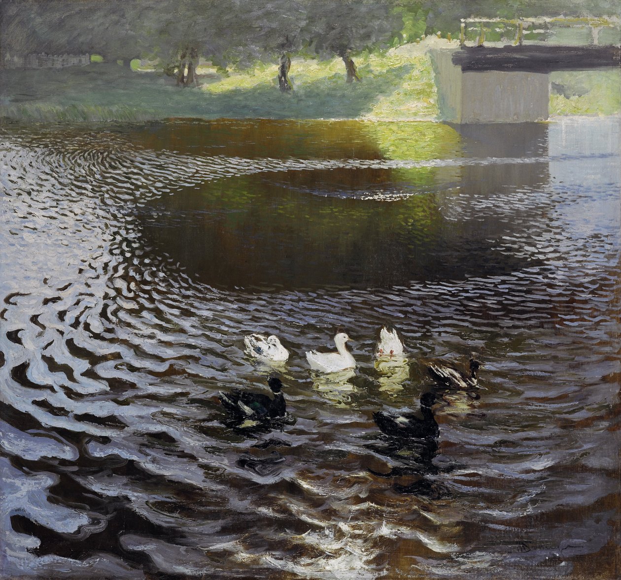 Canards - Johans Valters