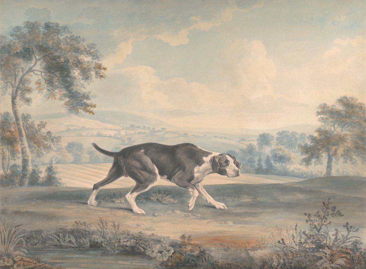 Le pointeur espagnol - John Chessell Buckler