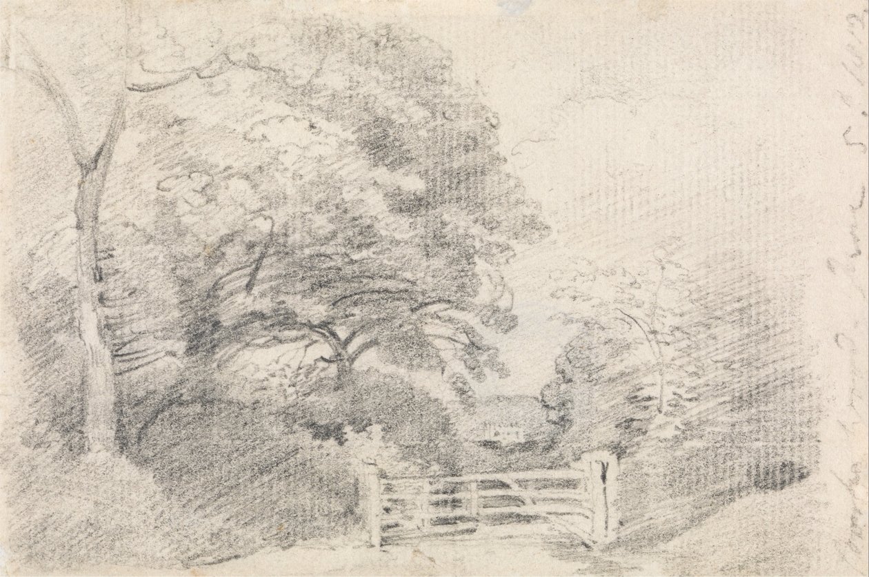 Bois de Coombe - John Constable
