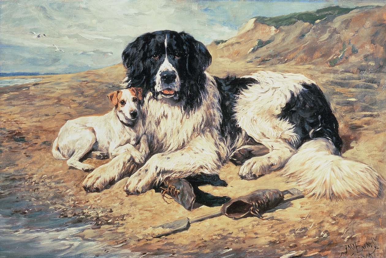 Chiens regardant les baigneurs, 1900 - John Emms