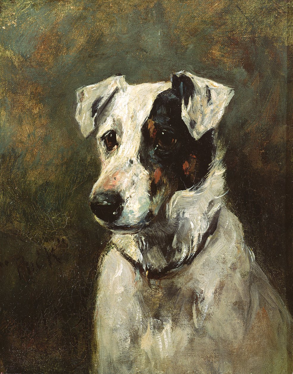 Puck, 1903 - John Emms
