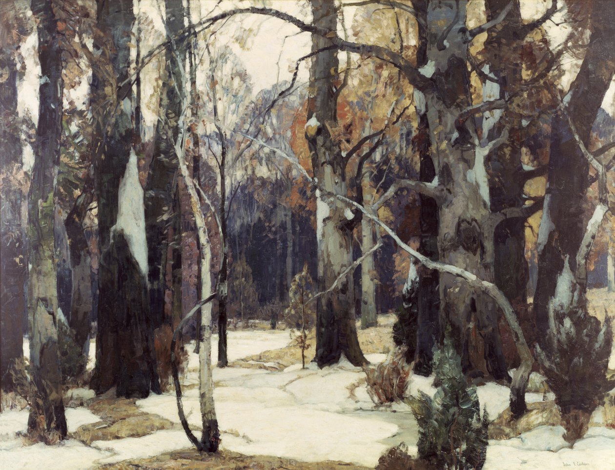 Vues de la forêt, vers 1932 - John Fabian Carlson