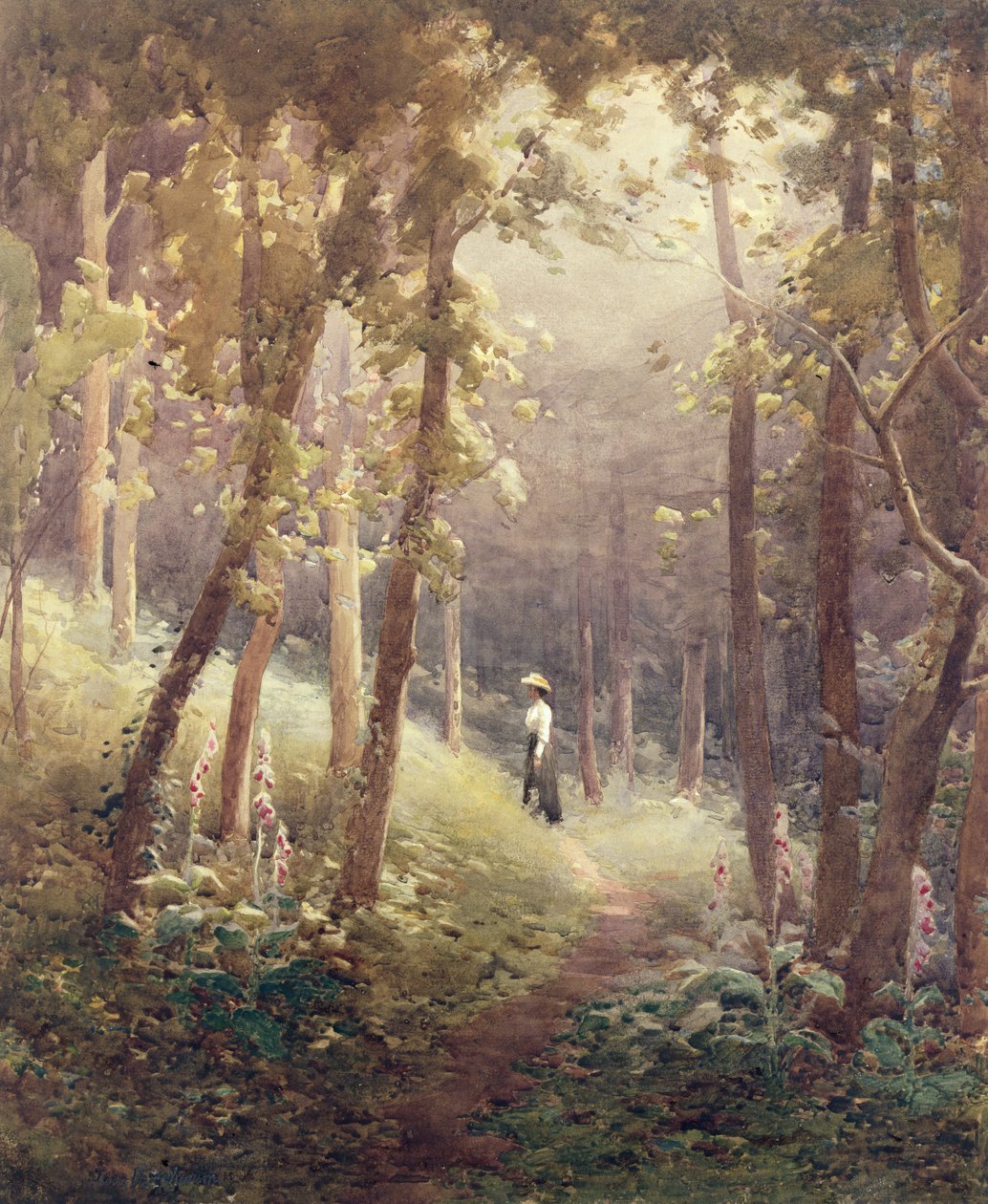 Une clairière boisée - John Farquharson