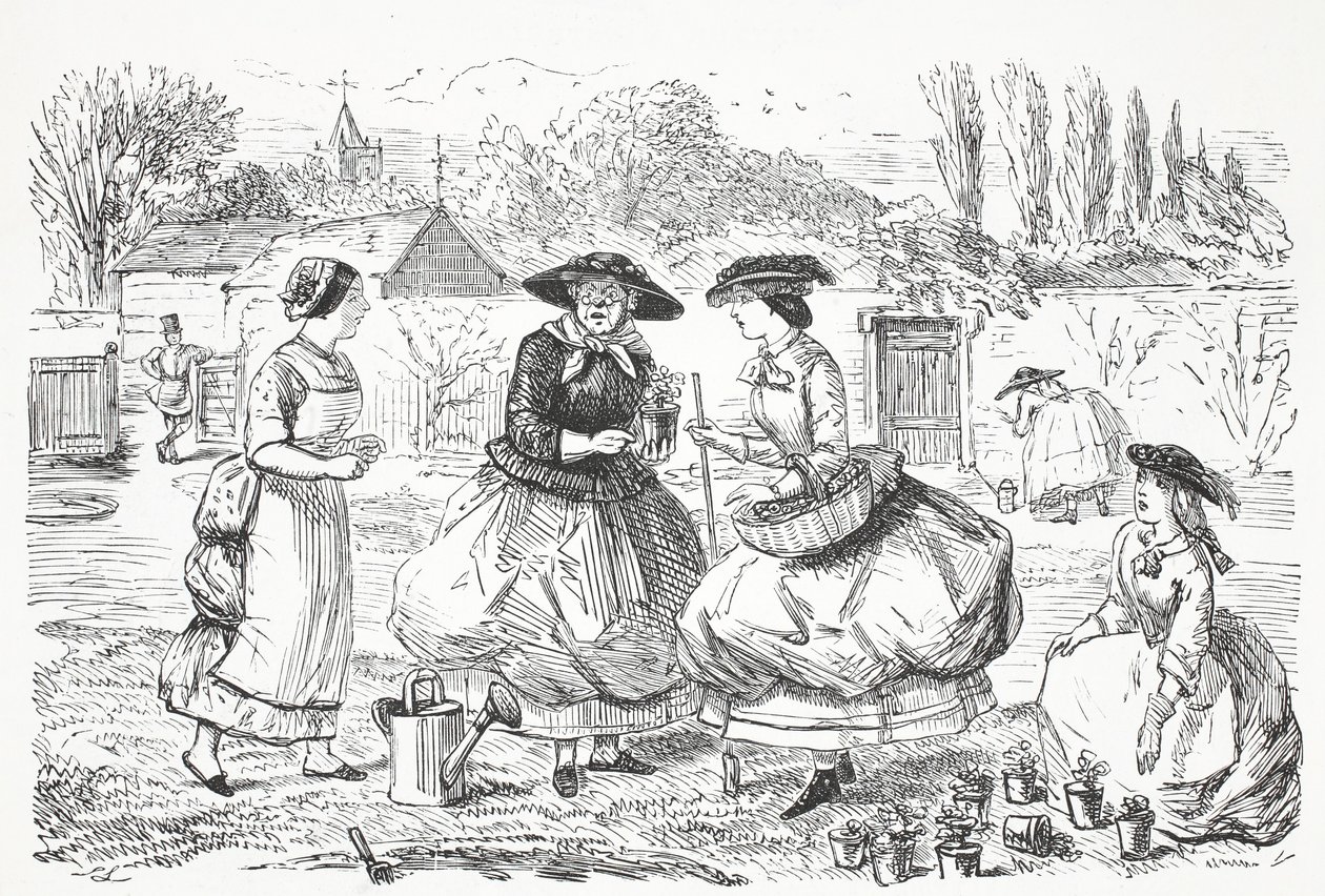 Jardin - John Leech