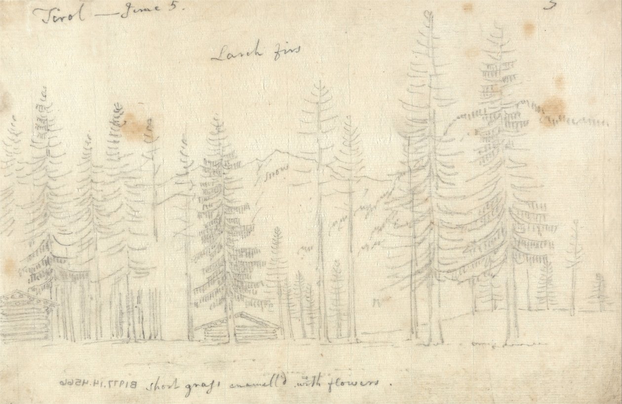 Dans le Tyrol - John Robert Cozens