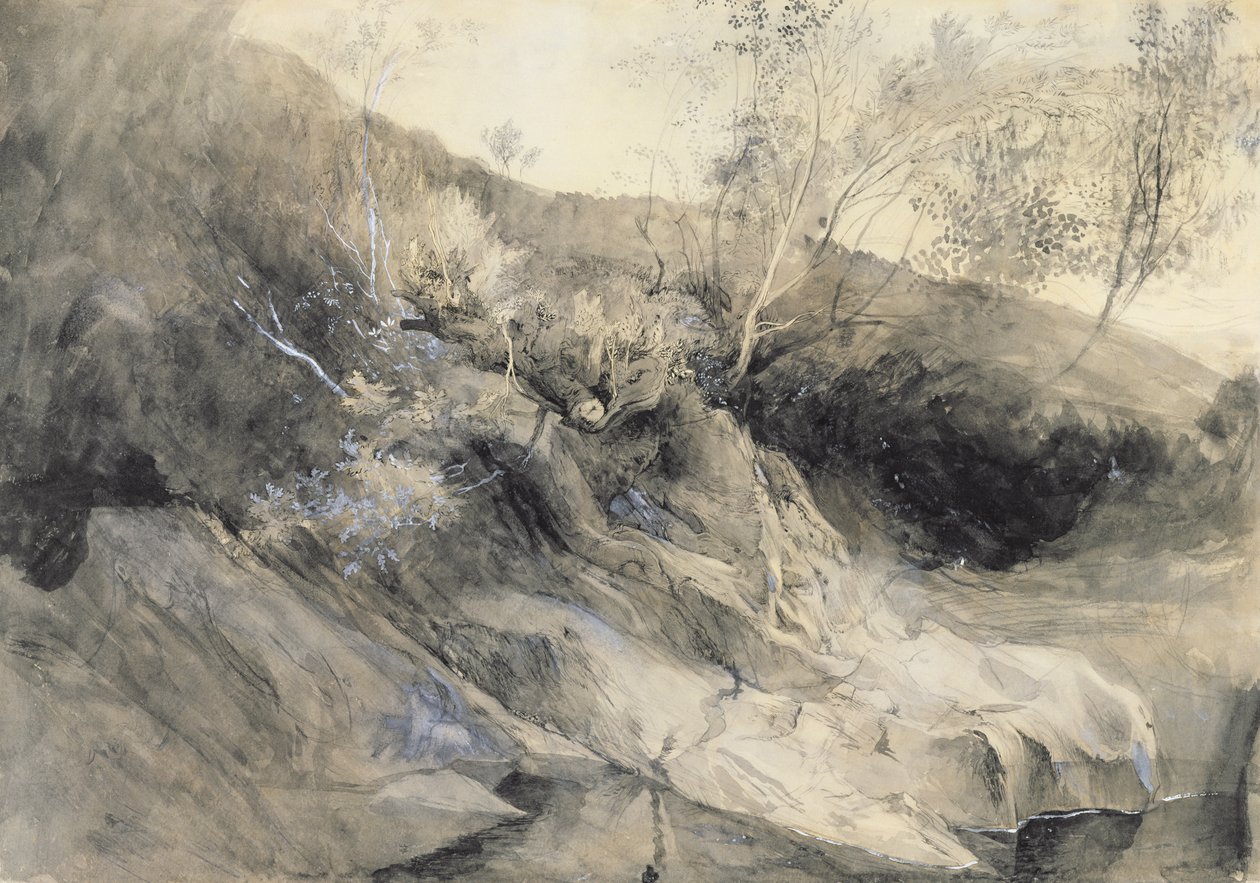 La rive rocheuse d