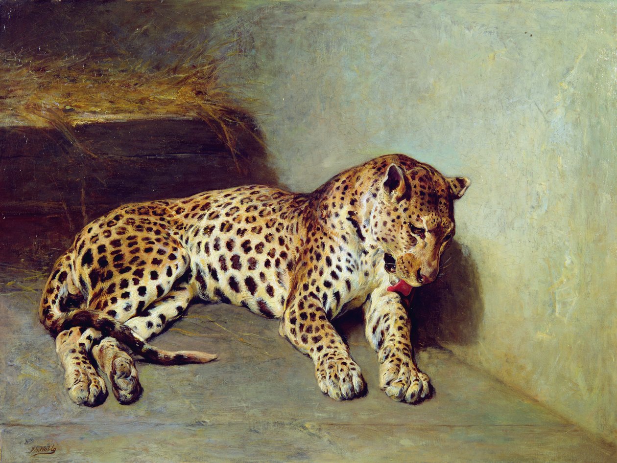 Le Léopard - John Sargent Noble