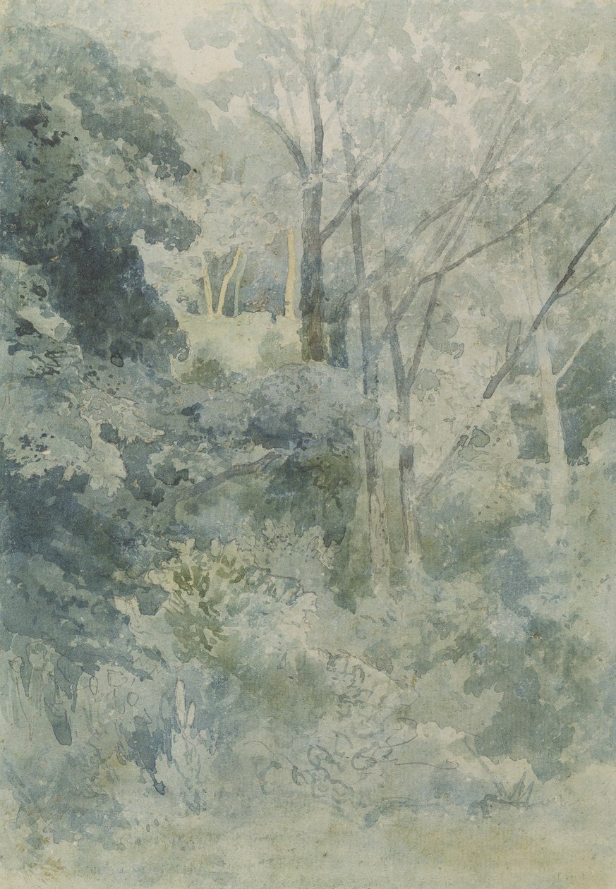 Dans le parc de Rokeby, c.1805 - John Sell Cotman