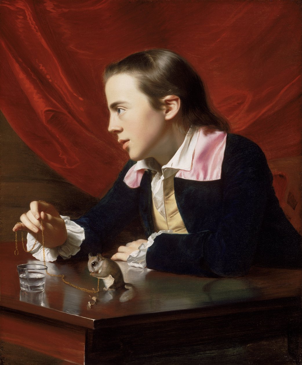 Un garçon avec un écureuil volant (Henry Pelham) - John Singleton Copley