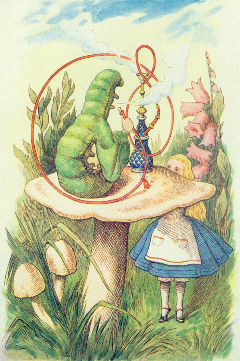 Alice rencontre la chenille, illustration de 