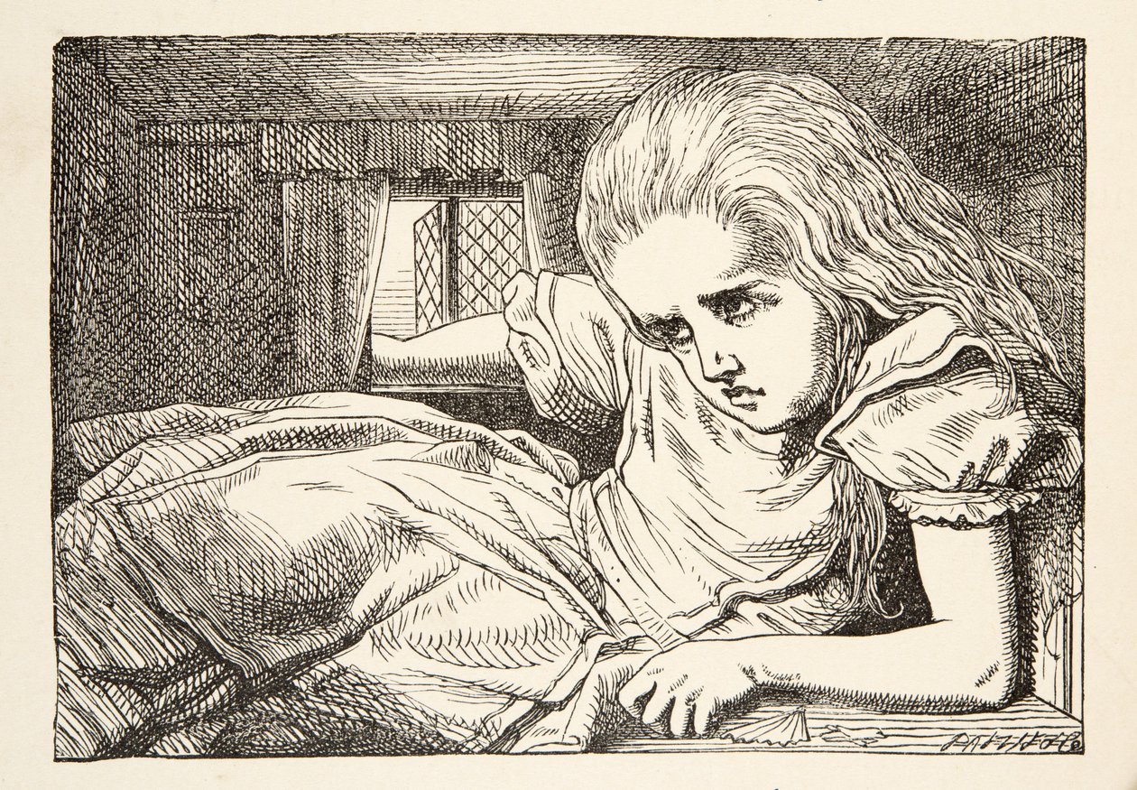 Alice devient trop grande pour la pièce, Les Aventures d