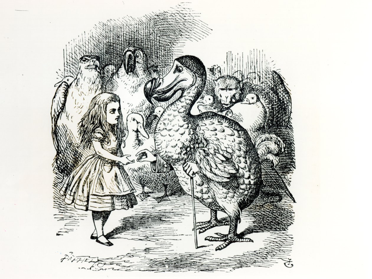 Alice rencontre le Dodo, illustration de 