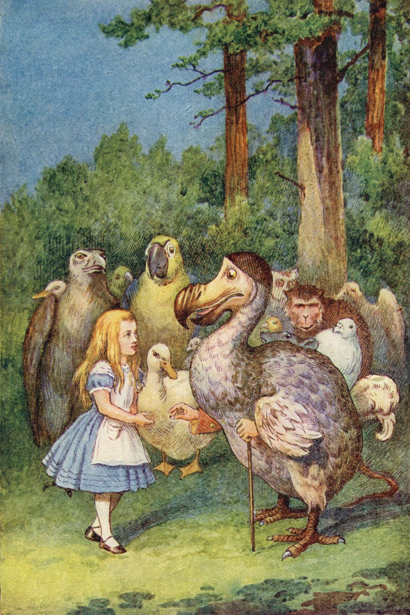 Le Dodo présente un dé à coudre à Alice - John Tenniel