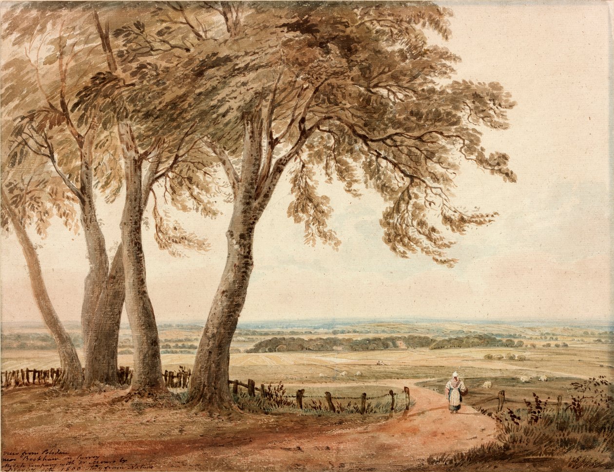 Vue de Polesden, Surrey, 1800 - John Varley