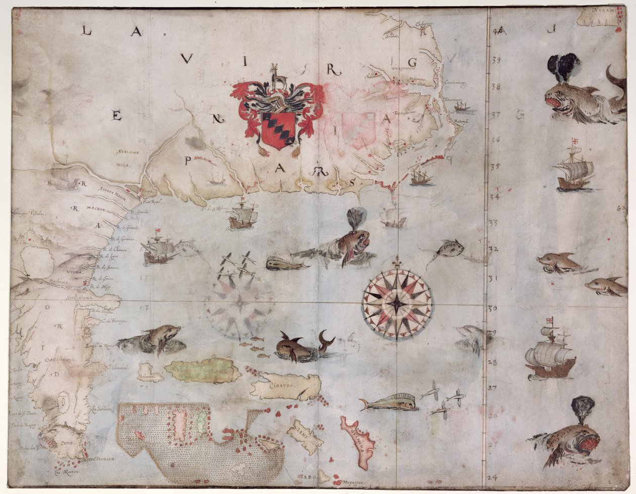 Carte de l