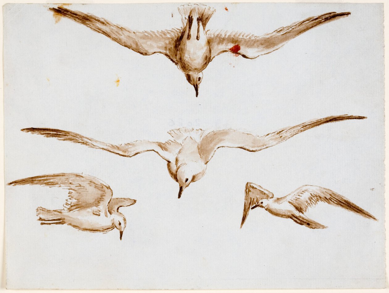Mouettes - John Wilson Carmichael