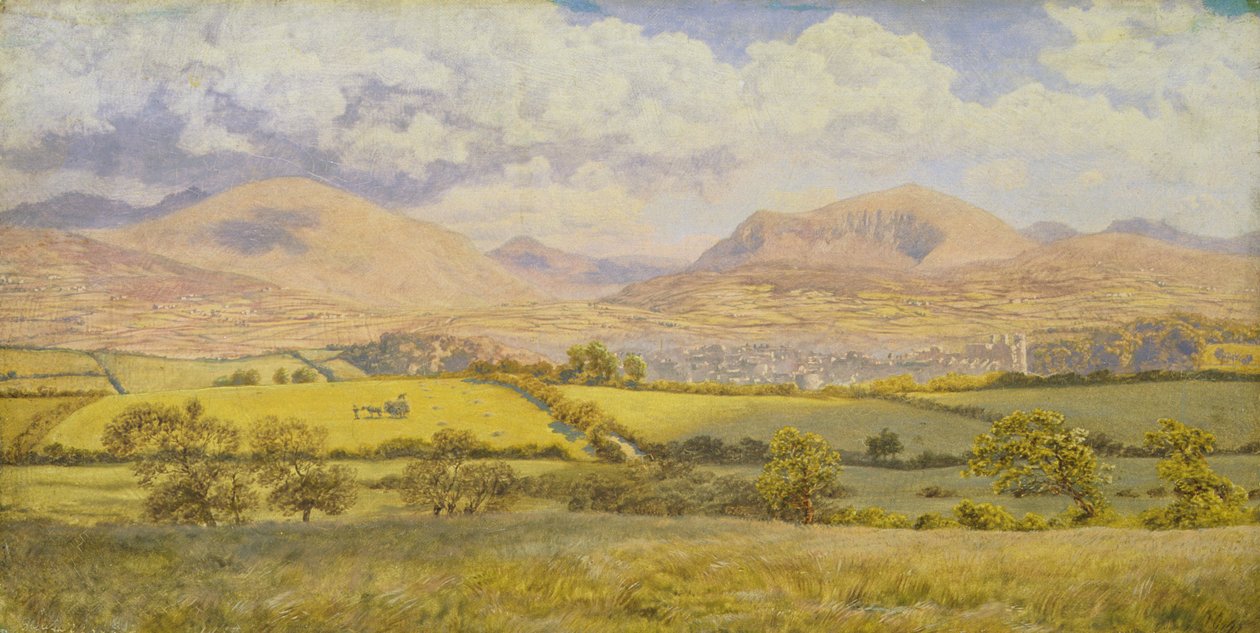 Caernarvon - John Brett