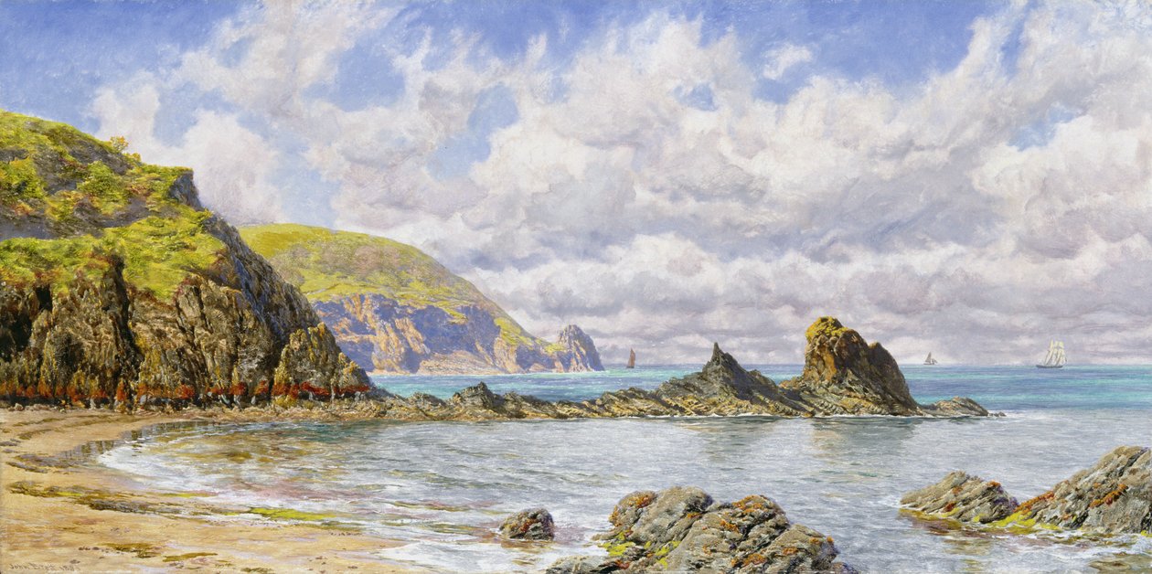 Anse forestière, baie de Cardigan - John Brett