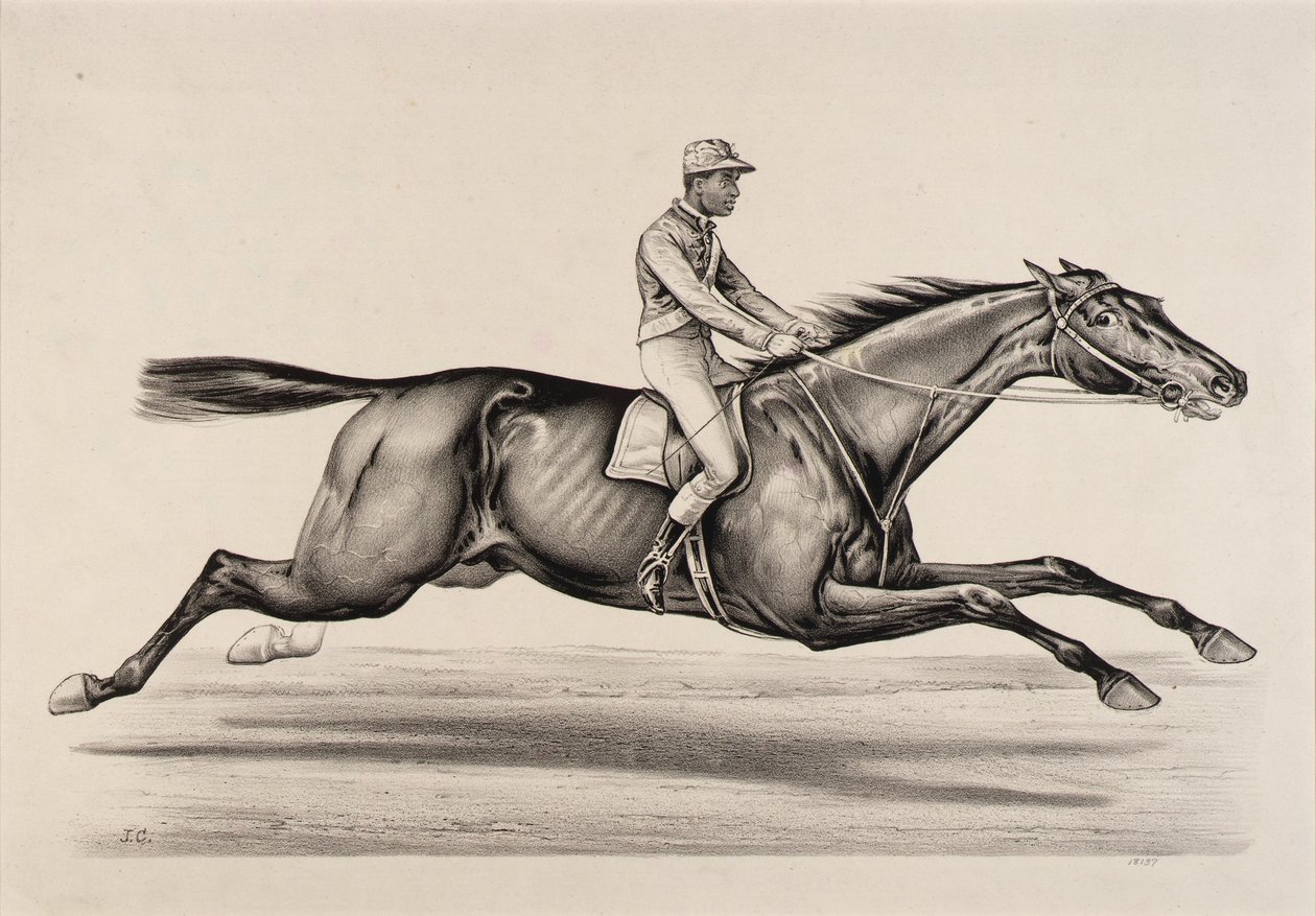 Empereur de Norfolk - John Cameron