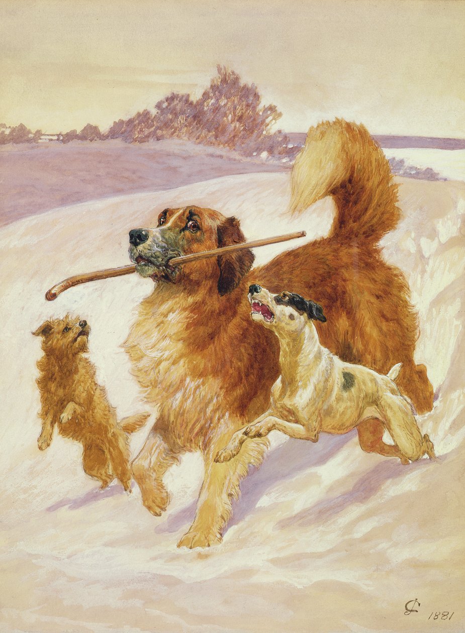Trois chiens jouant dans la neige, 1881 - John Charlton