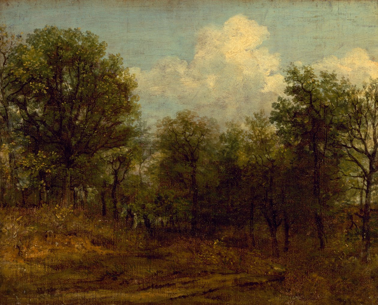 Un bois (peinture à l