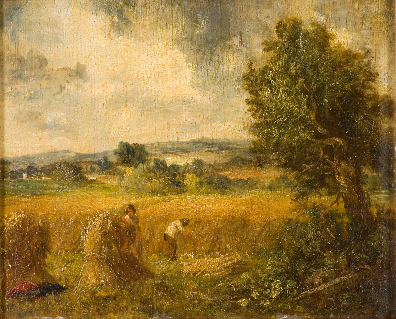Un champ de maïs - John Constable