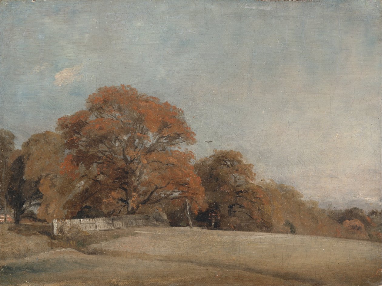 Un paysage d