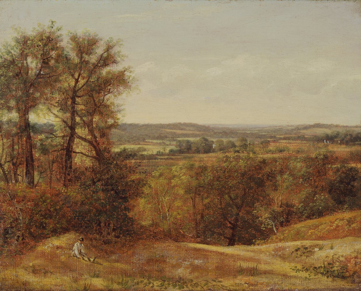 Vallée de Dedham - John Constable