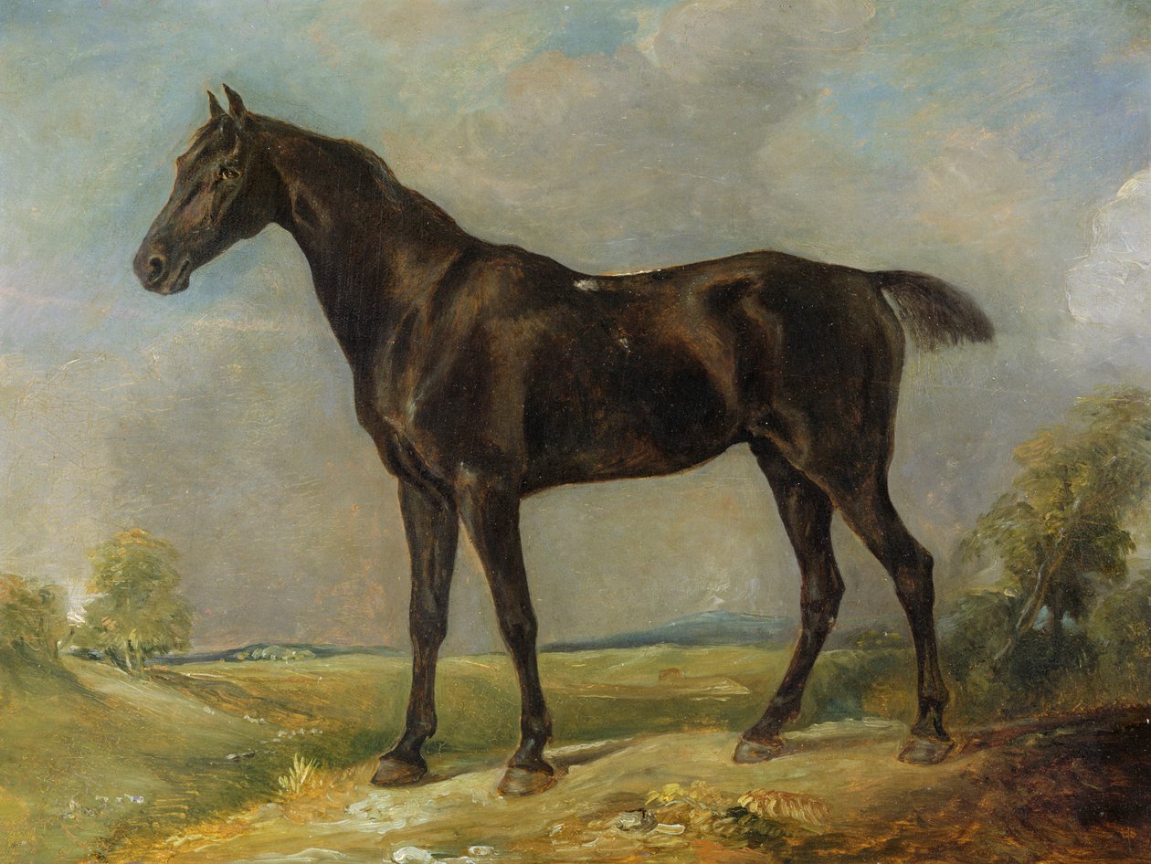 Le Cheval Noir de Golding Constable, vers 1805-10 - John Constable