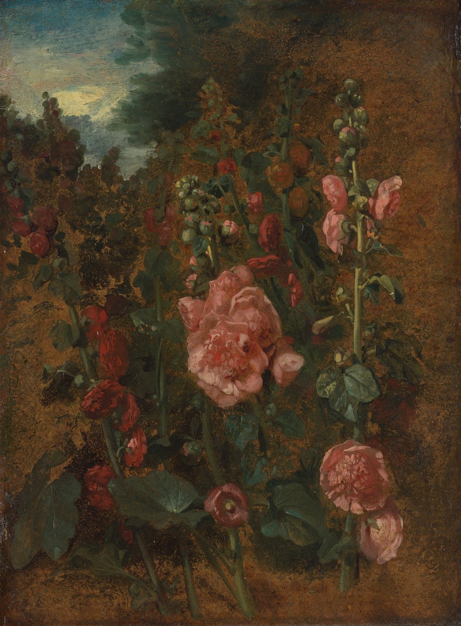 Étude de roses trémières - John Constable