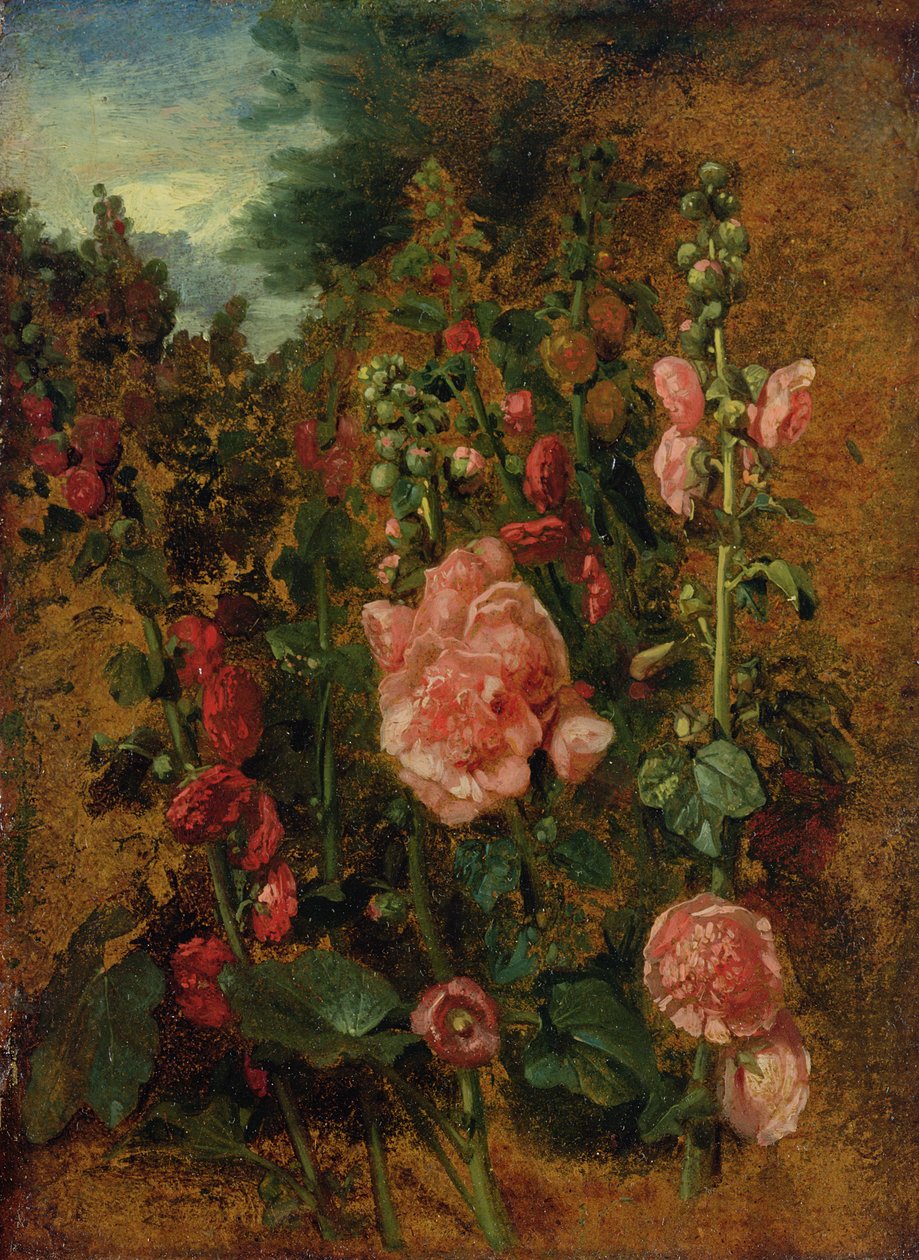 Étude de roses trémières, c.1826 - John Constable