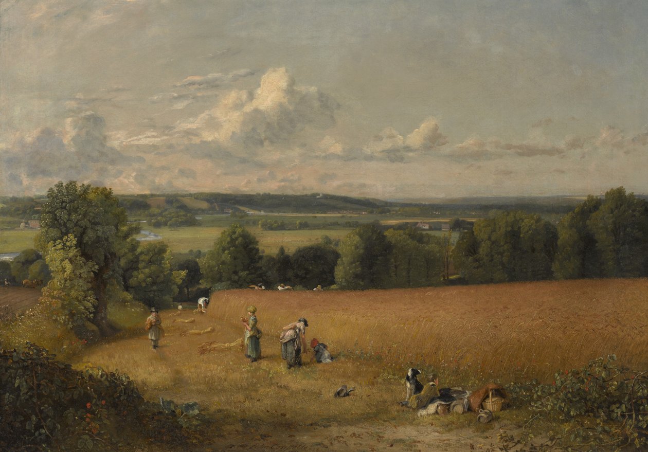 Le Champ de Blé - John Constable