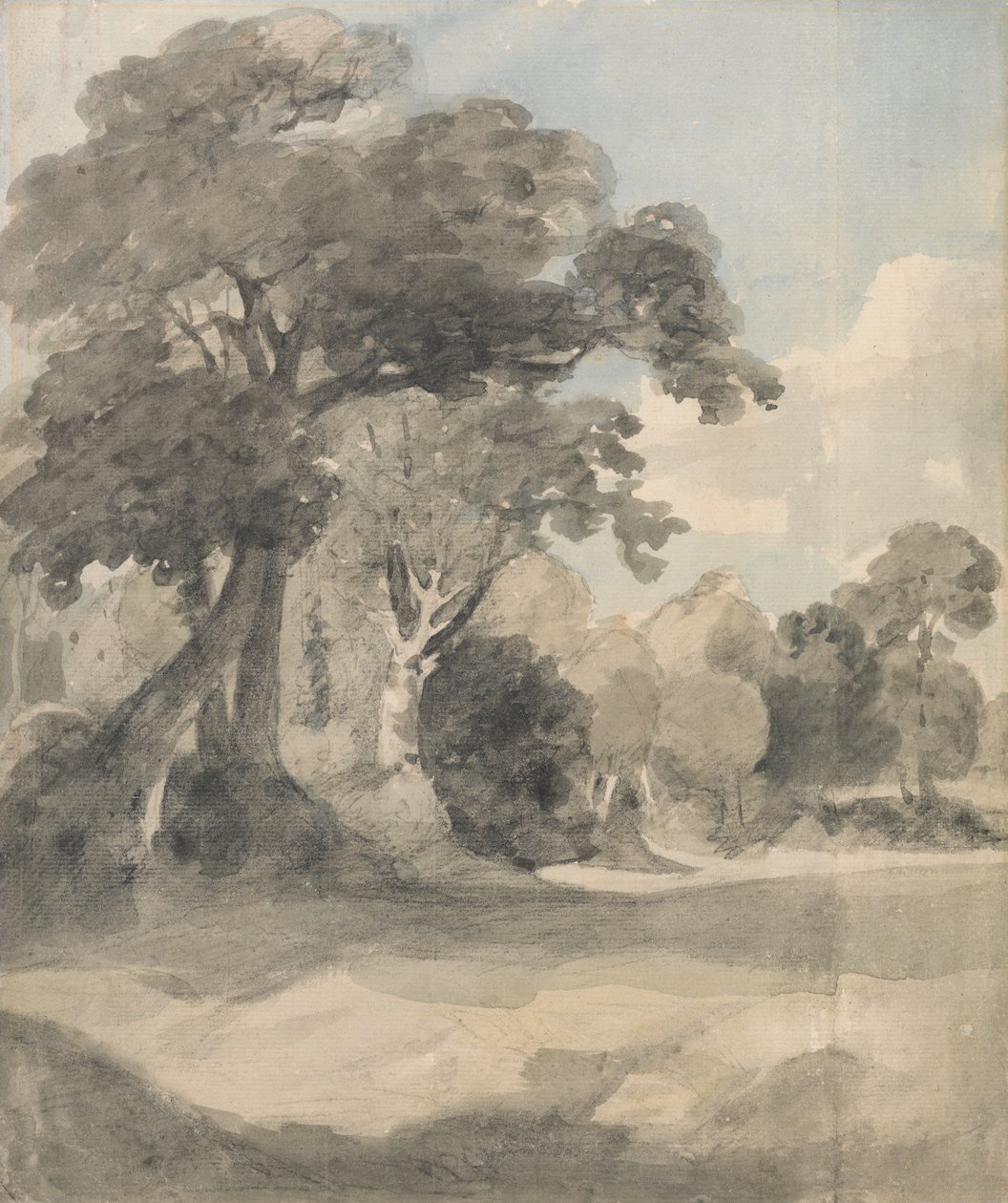 Arbres dans un pré - John Constable