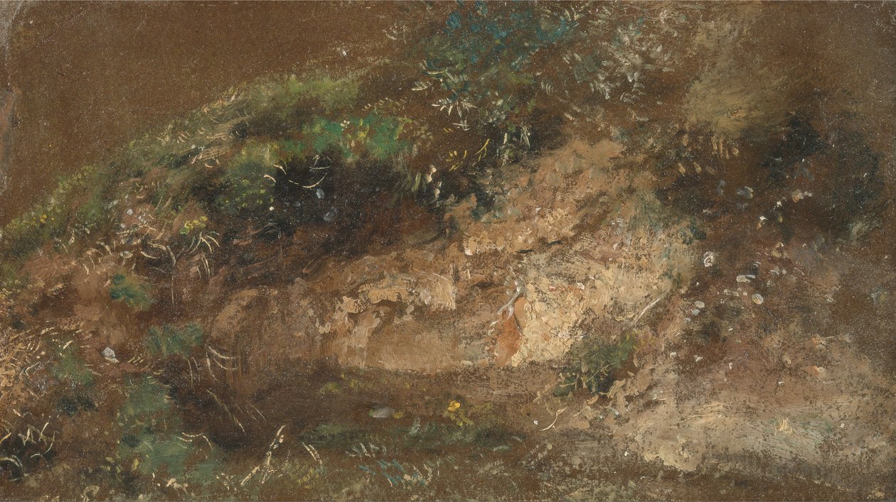 Sous-bois - John Constable