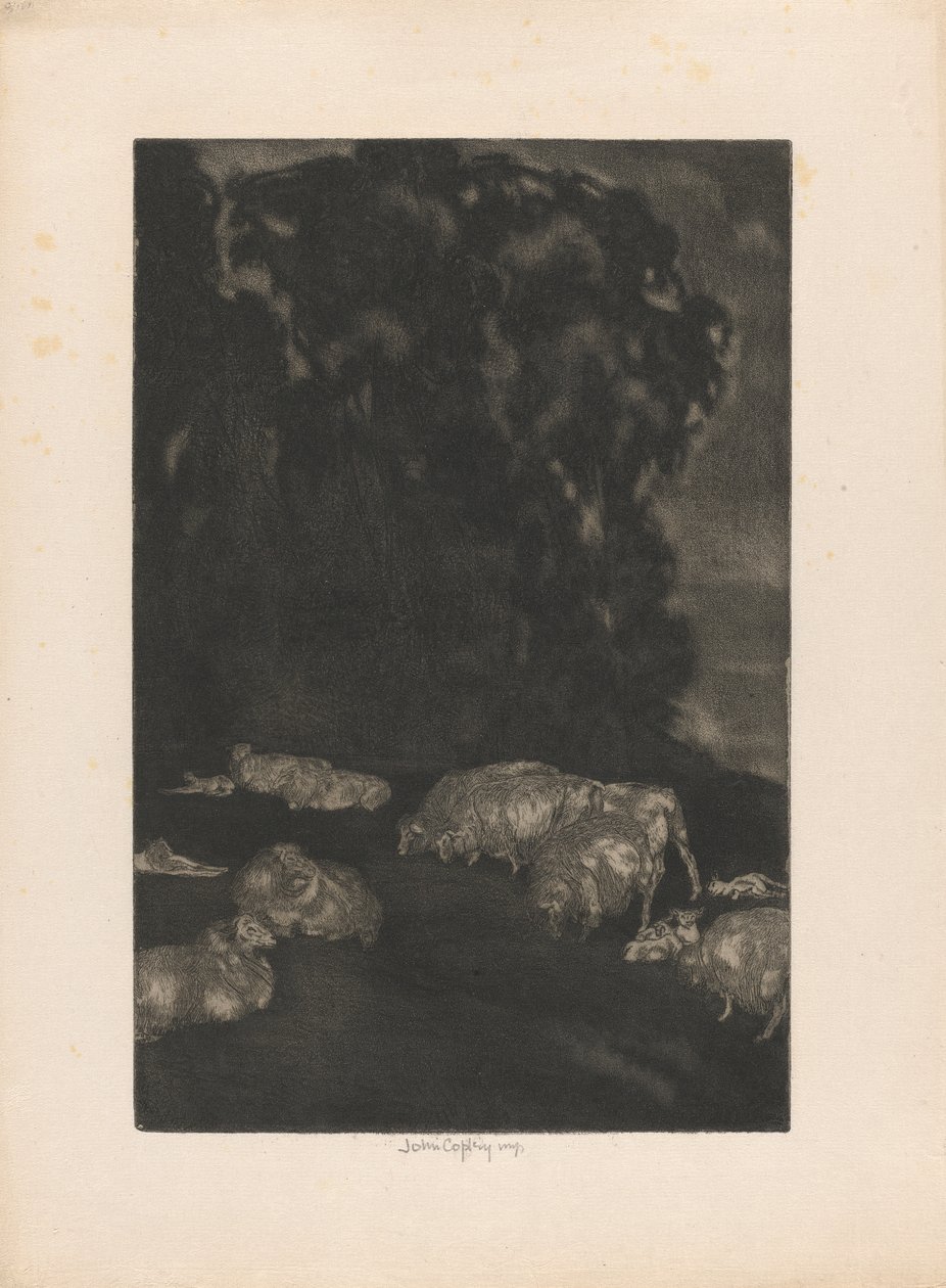 Moutons au crépuscule - John Copley