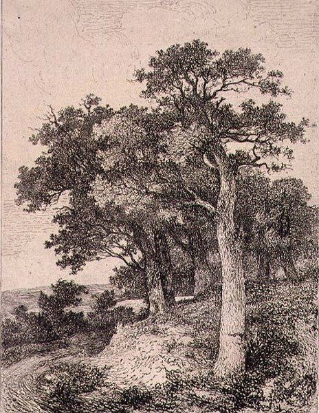 À Colney, pub. par J. & W. Freeman - John Crome
