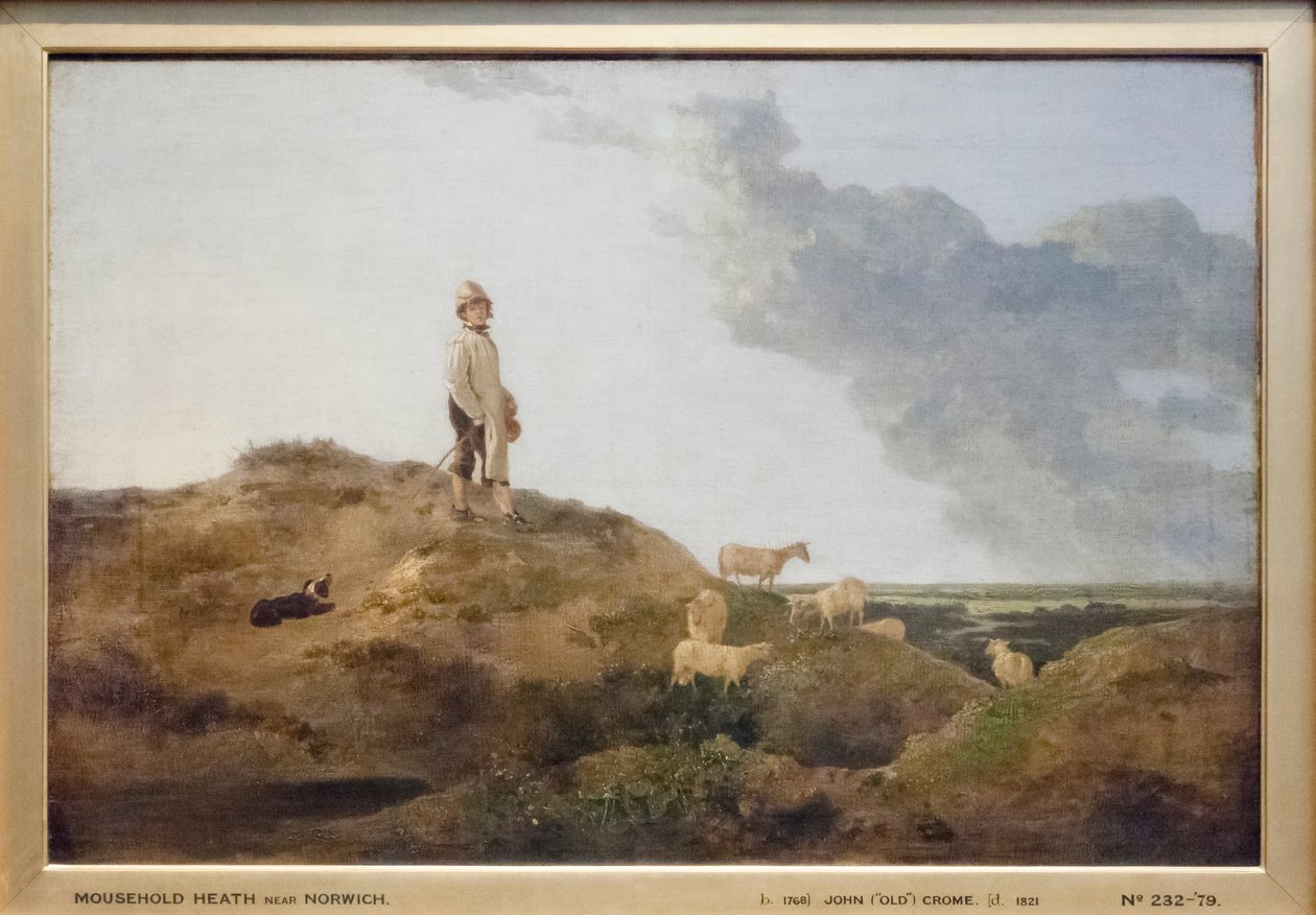 Vue de Mousehold Heath, près de Norwich - John Crome