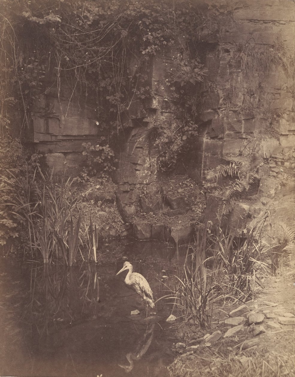 Piscator, No. 2 - John Dillwyn Llewelyn
