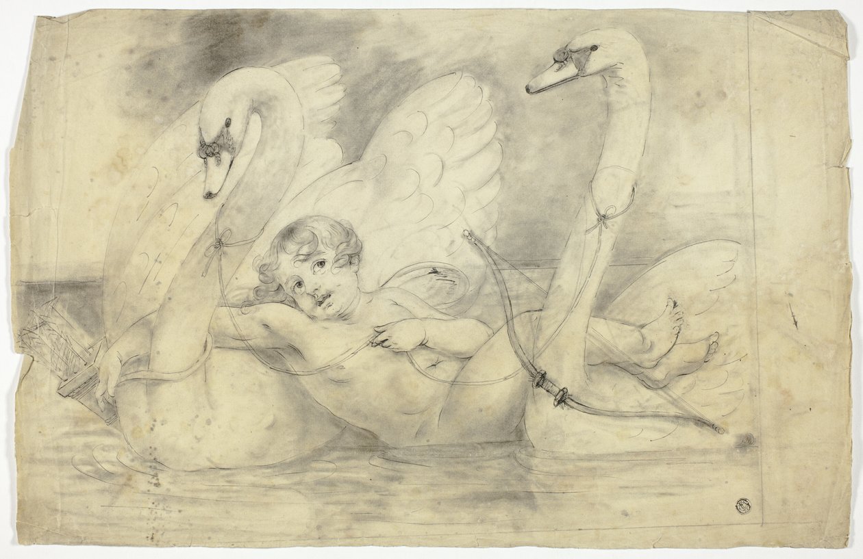 Cupidon et les cygnes - John Downman