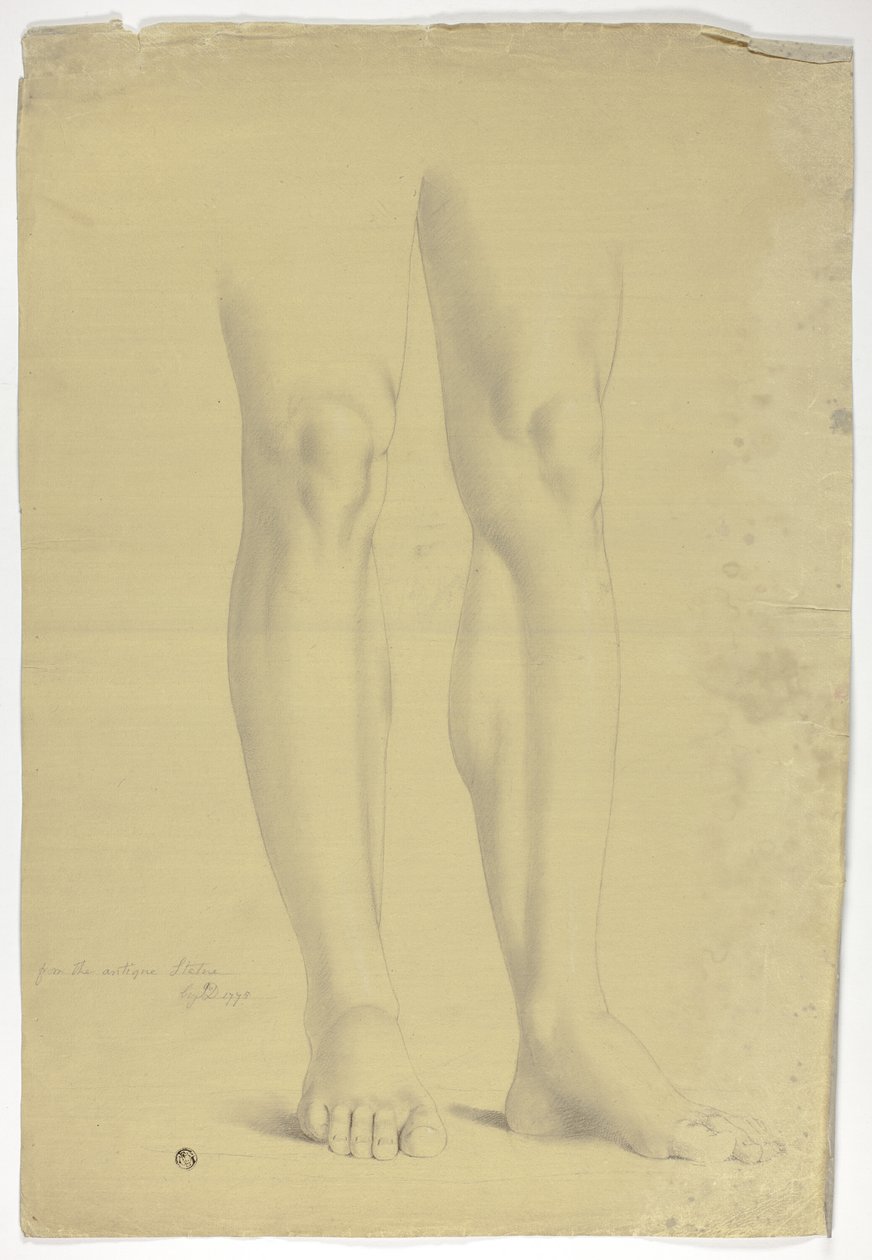 Jambes d