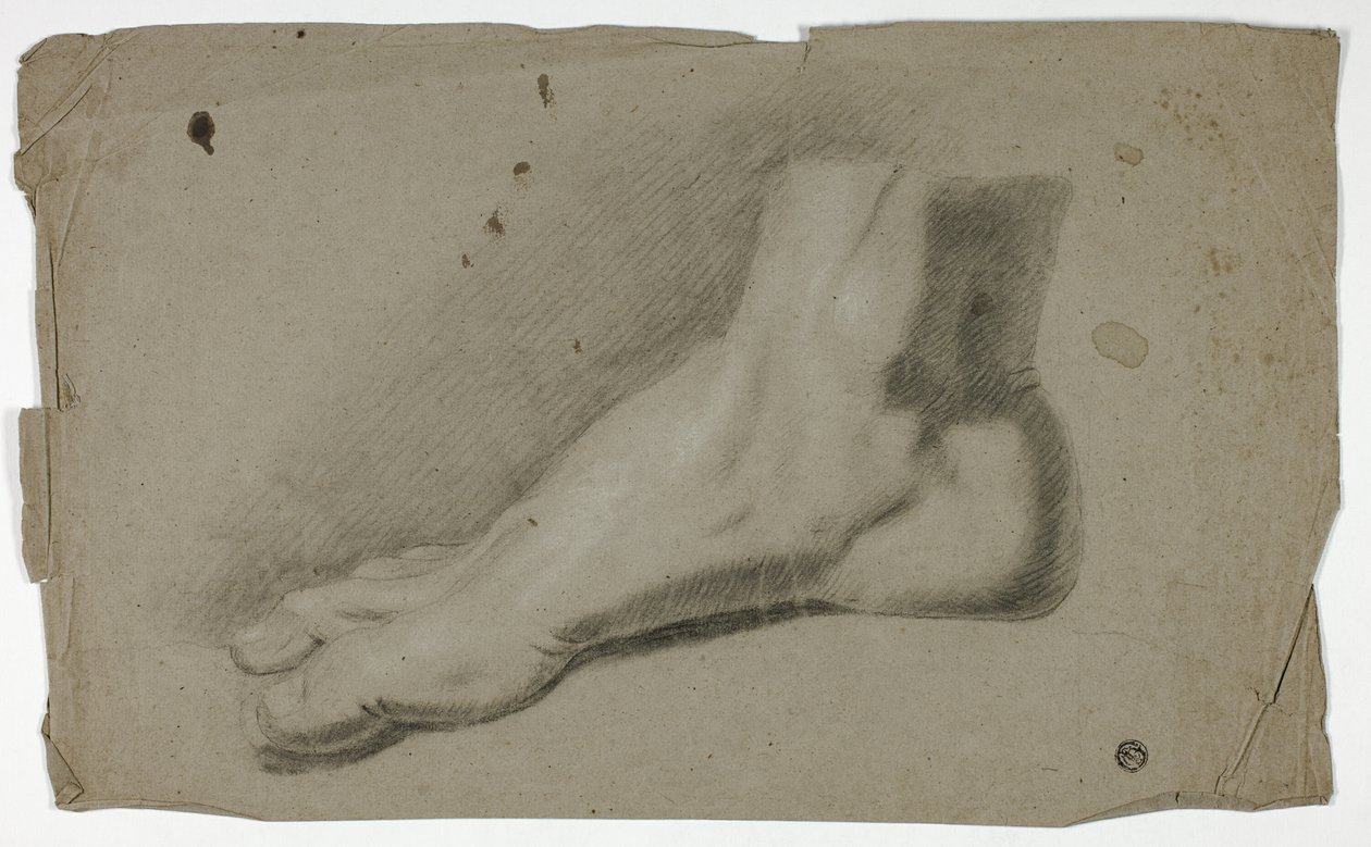 Pied droit - John Downman